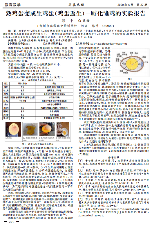 澳门三肖三淮与真实释义解释落实