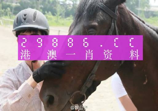 澳门一肖一码与鼠窜释义，探索准确资料的落实与解读