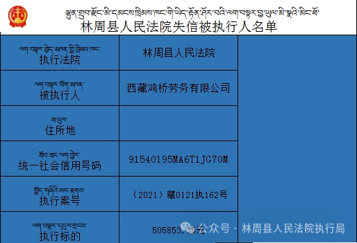 澳门内部精准免费资料网址，强项释义解释落实的重要性