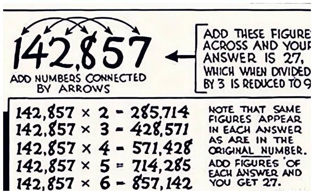 探索数字之谜，777778与88888一肖一码的内涵释义与解释落实