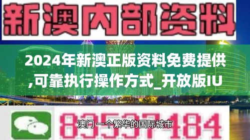 新澳2024正版资料免费公开，热点释义、解释与落实