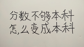 澳门最精准正龙门蚕增值释义解释落实深度解析