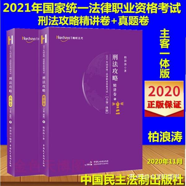 四不像正版与正版四不像2025，谋略释义及实施策略