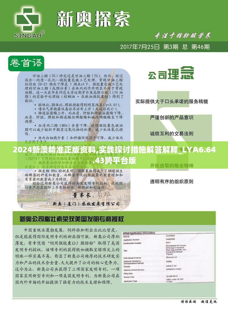 新澳精准资料免费提供，第221期的意释义解释与落实策略