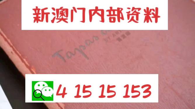 探索新澳门，精准免费大全与务实中肯释义的落地实践