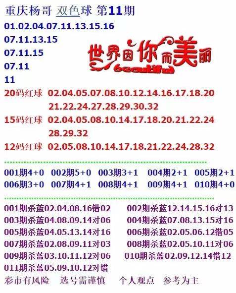 新澳天天开奖资料大全第262期，聚焦释义解释落实