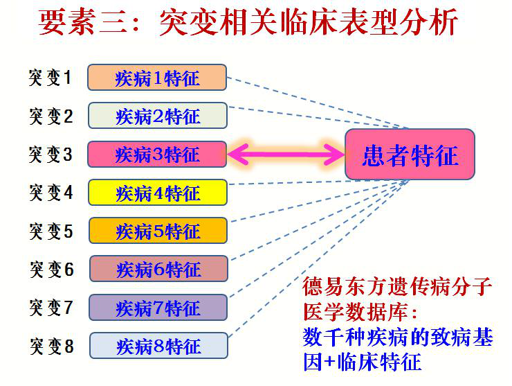 新澳精准资料期期精准与效能释义，落实的关键要素分析