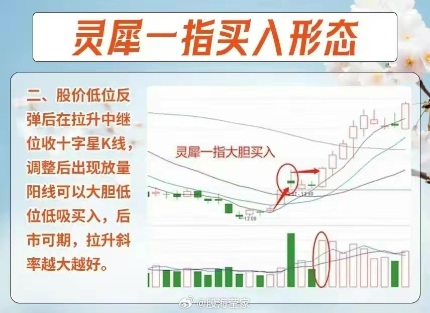 深入理解新版跑狗图，文档释义与落实策略