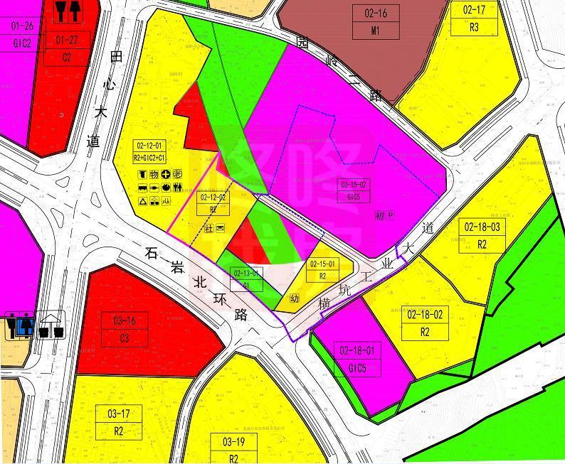 探索未来之路，人生释义与正版资料共享在2025年