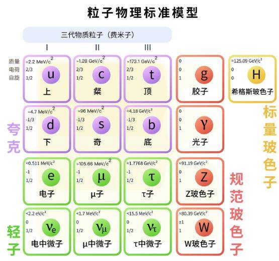 新澳门一码一肖一特一中水果爷爷，深层释义、解释与落实