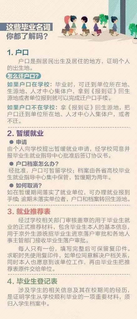 新澳天天开奖资料单双与才华释义，解读与落实的探讨