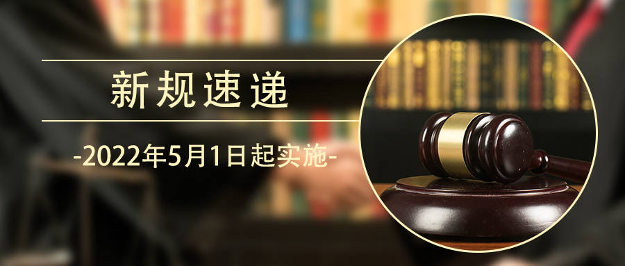 新澳王中王资料大全，实施释义解释落实的重要性