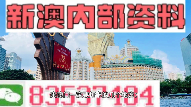 2025新澳门王中王正版与杯盘释义，解读与落实