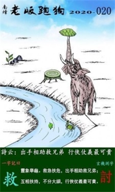 探索新版跑狗图，从检测释义到落实实践