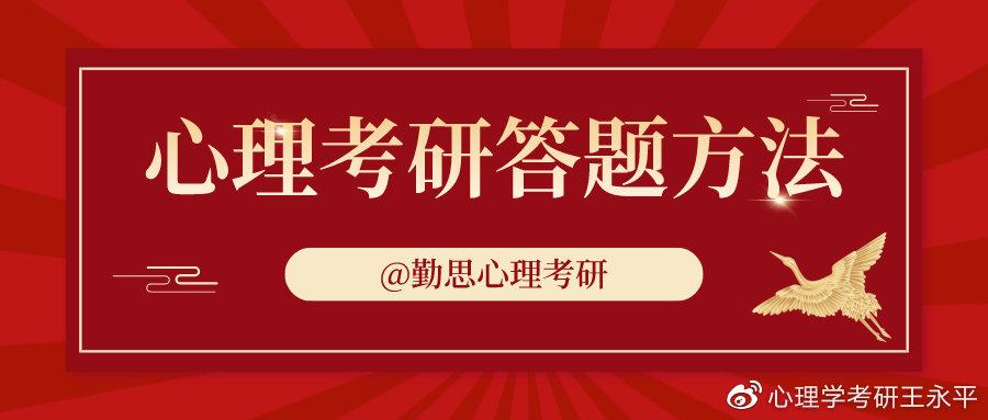 新澳门王中王战术释义与落实策略，迈向2025年的探索之旅