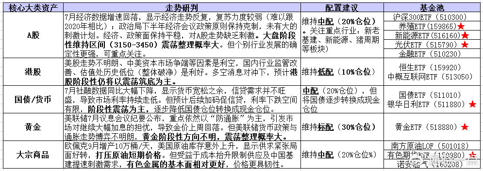 新门内部资料精准大全与策动释义解释落实深度探讨