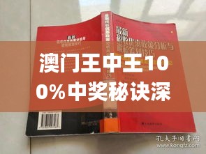 澳门王中王业务释义解释落实，揭秘期期中的秘密与策略