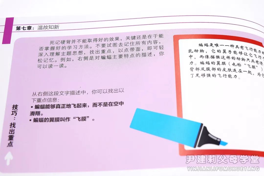 正版资料与尖巧释义，如何购买与落实知识资源