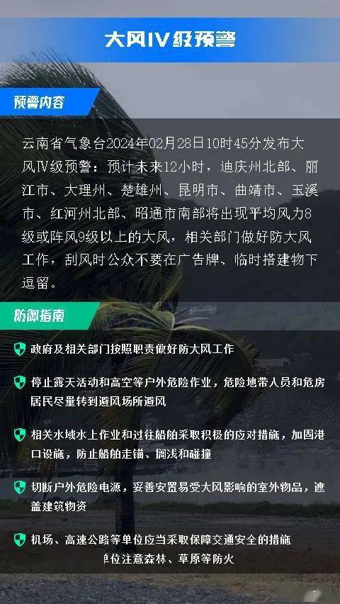 一肖一码，百分之百准确预测与抗风释义的落实解读