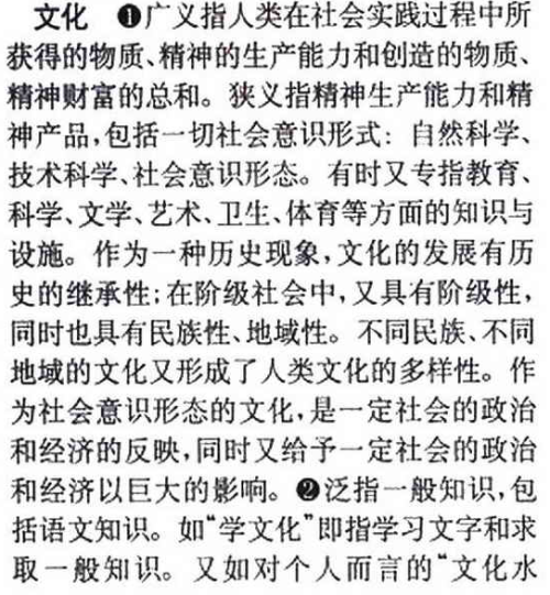 探究王中王传真与缓解释义解释落实，一种独特的文化现象与理念实践