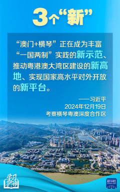 探索新澳门开奖背后的奥秘，从数字解读到实践落实的全方位解析（2025年视角）