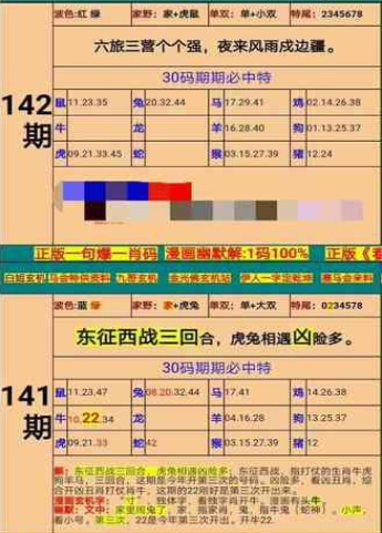 新澳门精准四肖期期准，实在释义、解释与落实