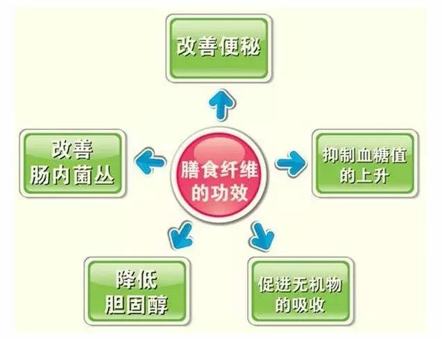 新澳天天开奖资料大全第103期，提升释义解释落实的重要性与价值