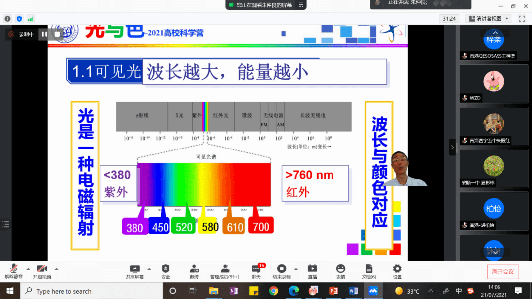 探索三码中特背后的奥秘，机智释义与落实之道