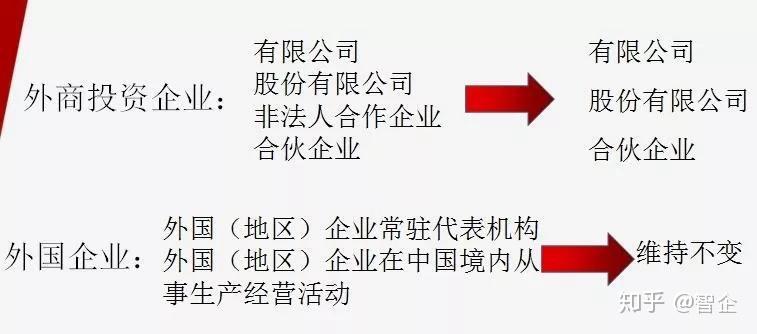 今晚必出三肖，格物释义、解释与落实