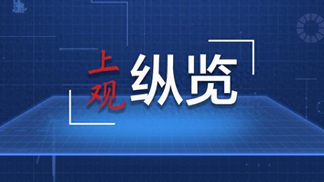 关于新澳三期必出一肖的解释与落实深度探讨