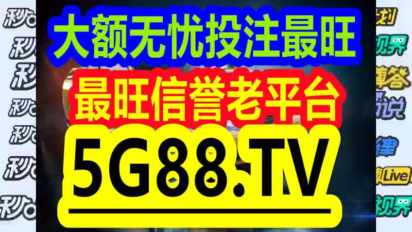 管家婆一码一肖正确，妥善释义、解释与落实