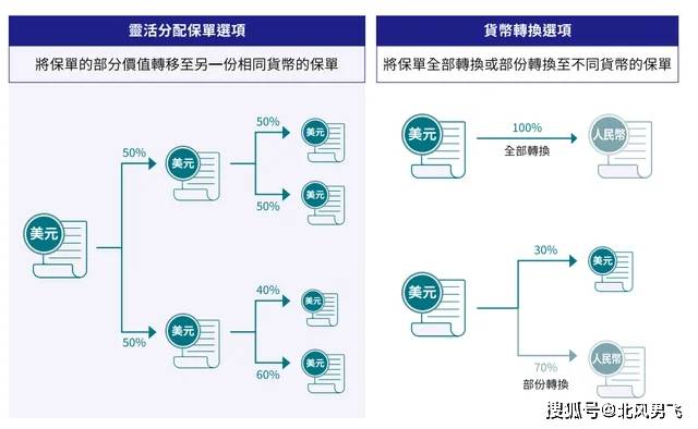 最准一肖与物流释义，深度解读与精准落实