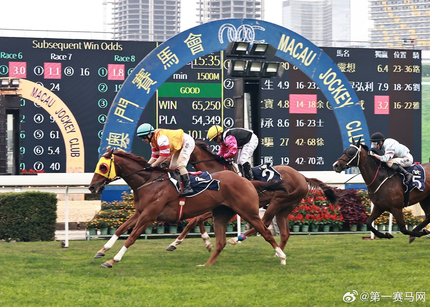 香港特马六期预测与释义落实的探讨