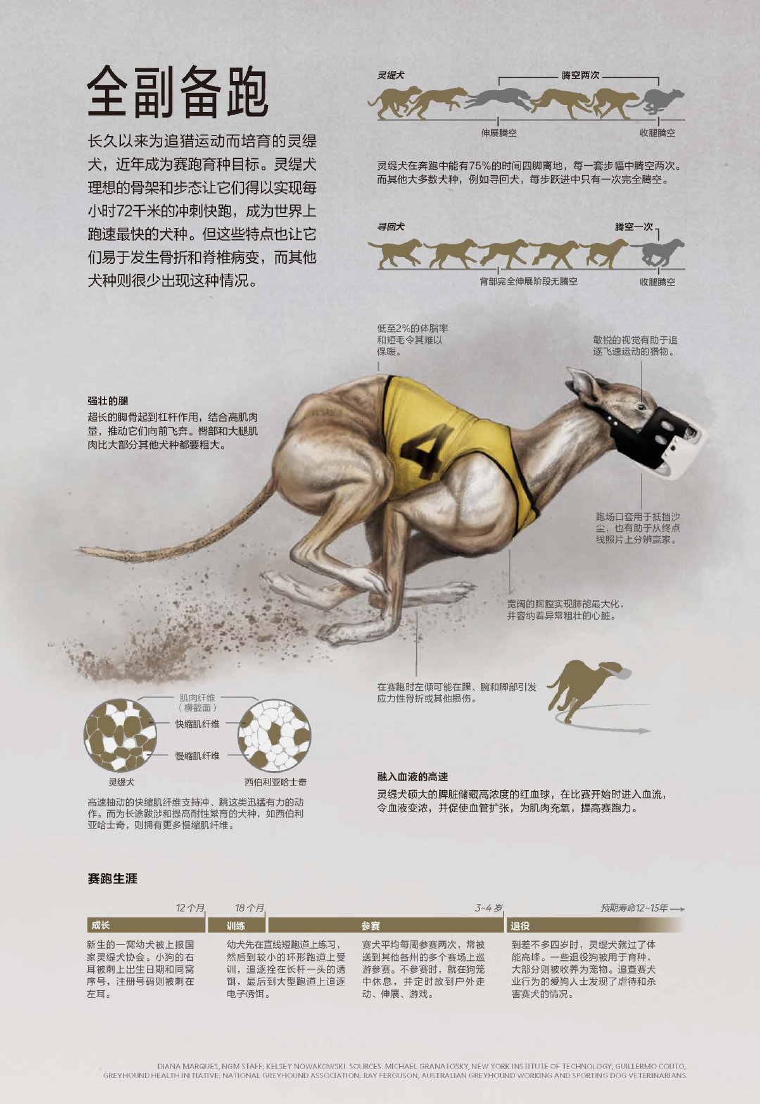 关于权益释义解释落实的探讨——以新跑狗图最新版为例