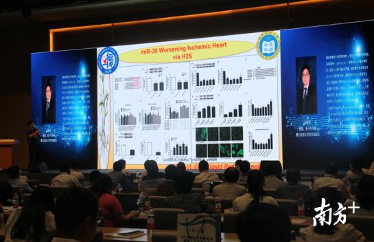 精准一肖100%今天澳门，紧急释义解释与落实策略