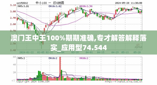 澳门王中王业务释义解释落实，揭秘期期中的秘密与策略