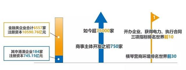 新澳门六开彩开奖号码记录近50期，推广释义、解释与落实