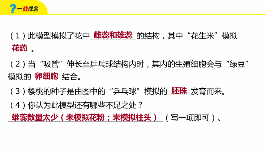 新澳天天开奖资料大全三中三，奖励释义解释与落实策略