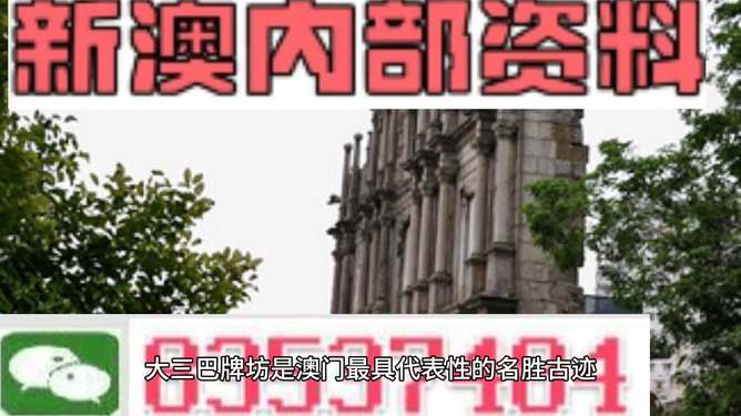 澳门最精准资料免费公开，精密释义、解释与落实的重要性