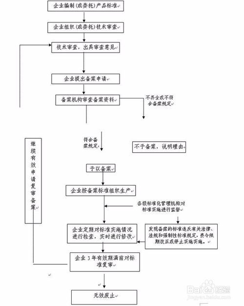 新澳2025年最新资料详解，专属释义与实施的路径